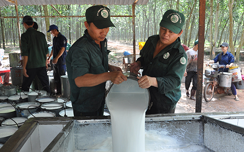 Đảng ủy Công ty TNHH MTV Cao su Dầu Tiếng: Không ngừng nâng cao vai trò lãnh đạo