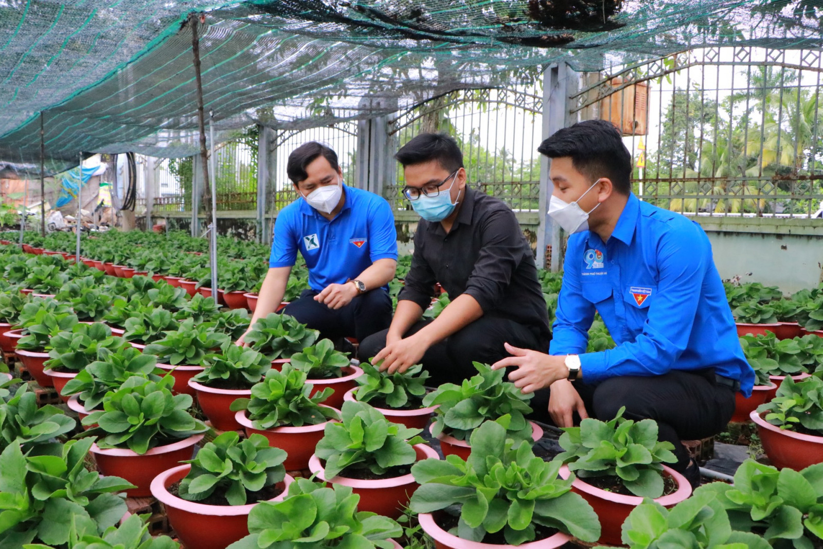 Mô hình vườn ươm doanh nghiệp tại Việt Nam hiện nay