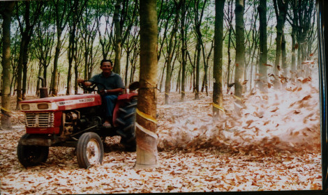 Nông dân điển hình Nguyễn Văn Long ở xã Lai Uyên, Bến Cát, người chế tạo ra máy thổi gom lá cao su rút ngắn thời gian lao động.