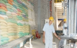 4 triệu tấn kho trữ lúa gạo ĐBSCL: Tăng giá trị hạt gạo Việt Nam