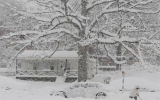 Washington tuyên bố 'tình trạng bão tuyết khẩn cấp'