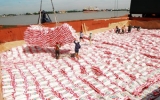 Mua 1 triệu tấn gạo dự trữ