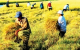 Ngân hàng Thế giới tiếp tục hỗ trợ Việt Nam