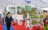 Festival trái cây Việt Nam: Khai mạc triển lãm hội chợ và hội thi trái cây ngon và an toàn