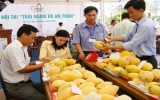 Tiến sĩ Nguyễn Minh Châu, Viện trưởng Viện cây ăn quả miền Nam: Cần quy hoạch hiệu quả chuyên canh các vùng trái cây