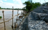 Di dời các hộ dân ra khỏi vùng có nguy cơ sạt lở cao sông đồng nai: Cần giải quyết dứt điểm