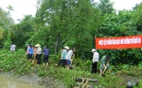 Đảng bộ xã Bình Nhâm (Thuận An): Chú trọng phát triển vườn cây ăn trái