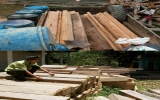 Quảng Nam: Phá rừng phòng hộ để khai thác vàng