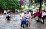 Vietnam committed to combating climate change