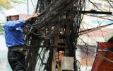 EVN giảm giá thuê cột điện cho VNPT