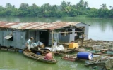 Nuôi cá lồng trên sông Đồng Nai: Chính quyền cứ cấm,dân vẫn cứ nuôi!