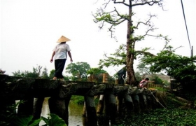 Về làng Nôm chiều hạ