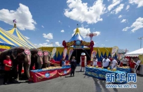 人象对决大象胜