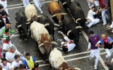 Lễ hội “bò rượt” ở Tây Ban Nha