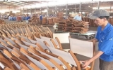 Work starts on Asia’s largest wood processing plant