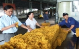 Phuoc Hoa Rubber JSC stable on the road of integration