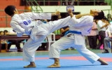 Binh Duong sets target of pocketing four gold medals at national young karatedo champs