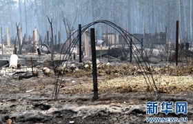 俄罗斯林火已致死40人 7个区域进入紧急状态