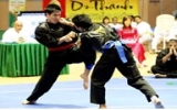 Thanh Hoa holds Asian Pencak Silat Champs