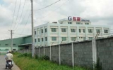 Công ty Gỗ Hằng Phú (thị trấn Uyên Hưng, Tân Uyên): Gây ô nhiễm môi trường sống!