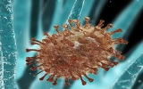 科学家发现甲流病毒适应人体的原因