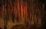 Nga: Cháy rừng đe dọa cơ sở hạt nhân thứ hai