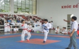 Thu Dau Mot town’s team dominates Binh Duong Karate Tournament 2010