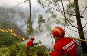 Fifty people evacuated in Portugal fires