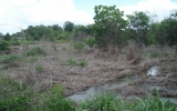 Xã An Tây (Bến Cát): Dân “kêu cứu” vì ô nhiễm môi trường!