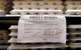 Hàng nghìn người ở Mỹ bị bệnh do ăn trứng nhiễm khuẩn độc