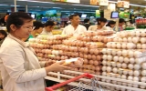 Việt Nam chưa nhập trứng gia cầm từ Mỹ