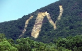Chữ khổng lồ xuất hiện trên núi ở Bình Định