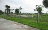 Environment protection in Binh Duong transformed from awareness to practice