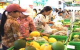 Binh Duong is an attractive destination for supermarket and plaza investment