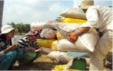 Interest-free loans for summer-autumn rice stockpile