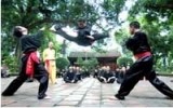 Traditional martial arts champs opens in the Mekong Delta