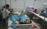 Đà Nẵng: 24 người nhập viện sau khi ăn xôi gà