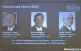 美日三名科学家分享2010年诺贝尔化学奖