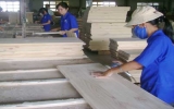 Ngành gỗ  Bình Dương và những đòi hỏi cấp thiết