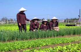 Ấn tượng những làng nghề xứ Quảng
