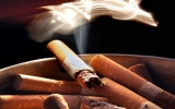 美研究显示中年人吸烟过多易患老年痴呆症