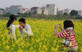 Mùa hoa cải vàng