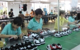 Thai Binh Shoes leads leather and footwear sector