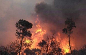 Historic "firestorm" at northern Israel kills 40