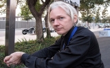 Thụy Điển bác đơn kháng cáo của người sáng lập WikiLeaks