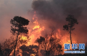 以色列北部山火造成约40人死亡