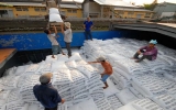Siết hoạt động xuất khẩu gạo