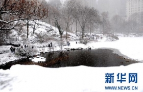 美国东北部遭暴风雪袭击