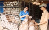 Phú Giáo: Khơi dậy tiềm năng của huyện thuần nông