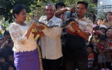 Đám cưới trăn tại Campuchia